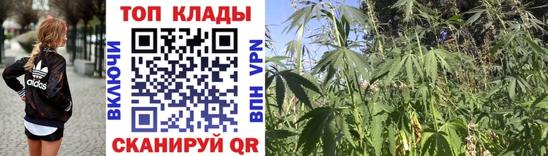 Наркошоп Урус-Мартан Alpha PVP Конопля Мефедрон ГАШ Псилоцибиновые грибы КОКАИН