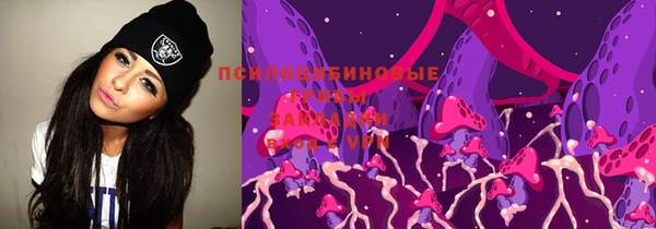 стаф Абдулино