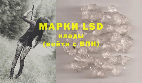 прущие грибы Киреевск