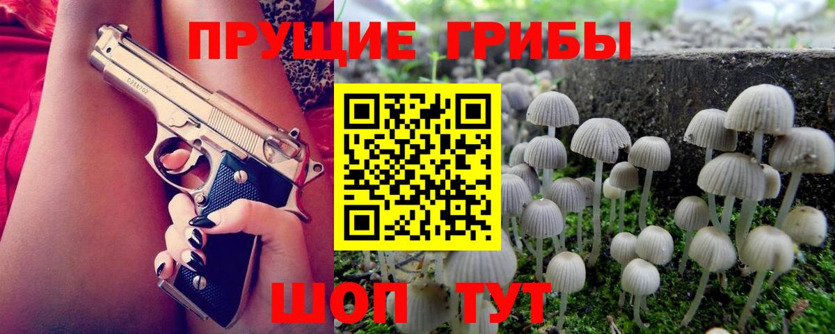 Псилоцибиновые грибы мухоморы Урус-Мартан